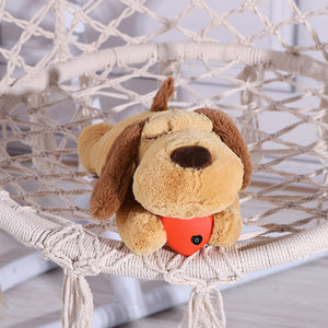 Transform Your Puppy’s Anxiety with Heartbeat Puppy Training Toys!