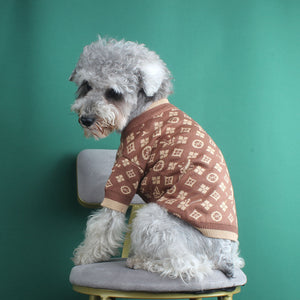 Keep Your Pet Cozy This Fall and Winter