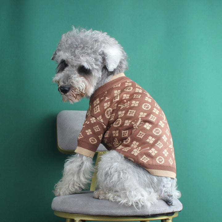 Keep Your Pet Cozy This Fall and Winter