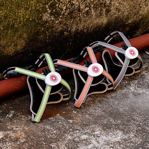 Light Up Your Walks: The Ultimate LED Dog Chest Strap