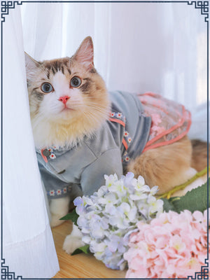 Dress Your Cat in Style with Our Adorable Pet Cat Clothes