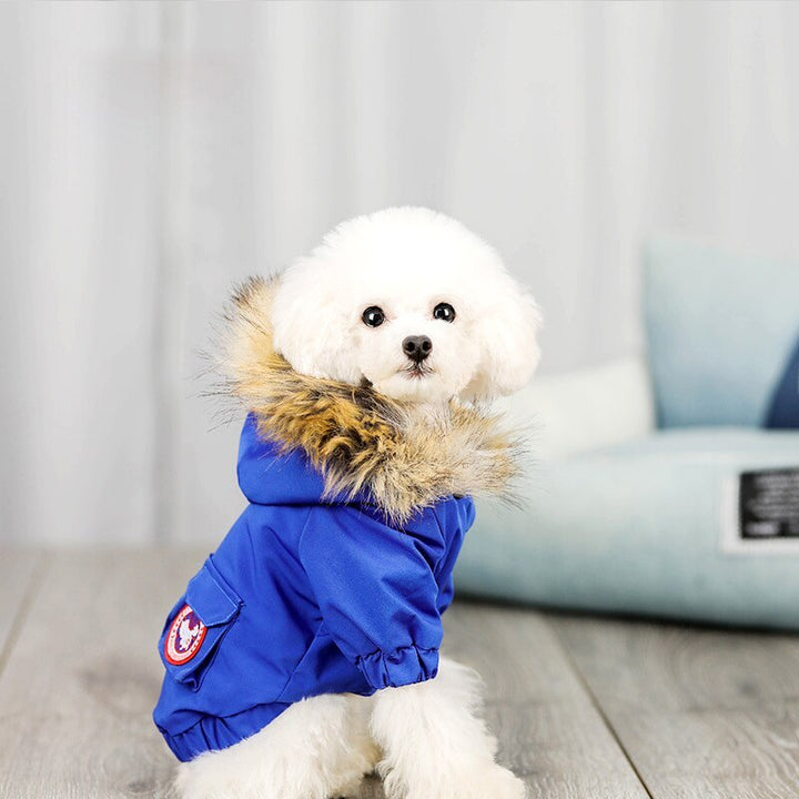 Keep Your Furry Friend Cozy with Our Stylish Wool Hat!