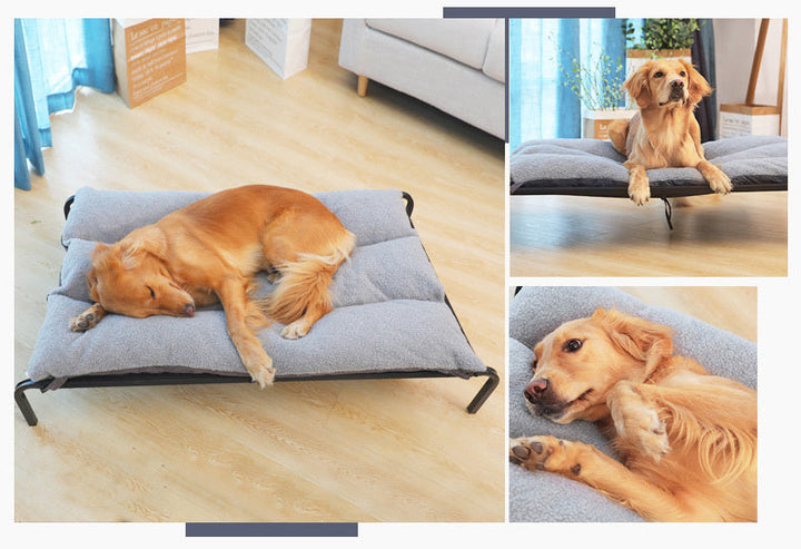 Experience Ultimate Comfort with Our Removable and Washable Pet Bed