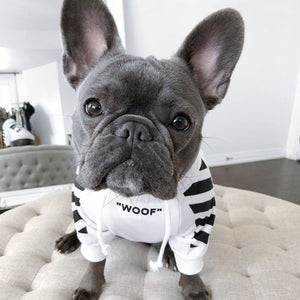 Winter Sports Dog Clothes: Keep Your Furry Friend Cozy