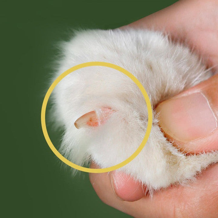 Nail Clippers For Pet Cats: The Ultimate Grooming Tool