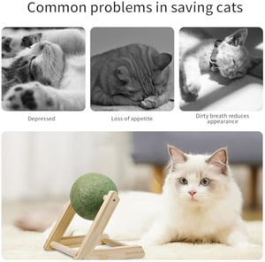 Why Your Cat Deserves the Ultimate Fun with Catnip Balls!