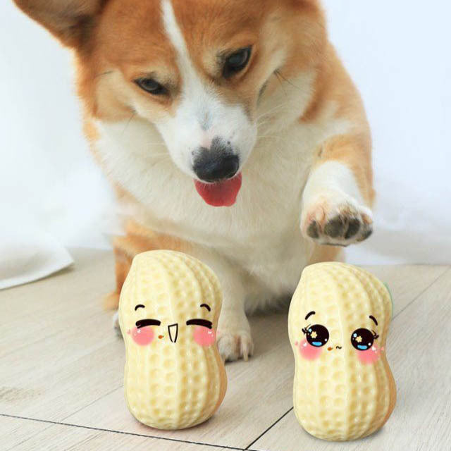 Why Your Dog Will Love Our Funny Pet Dog Squeaky Toys