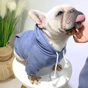 The Ultimate Comfort for Your Furry Friend: Pet with Fleece Hoodie