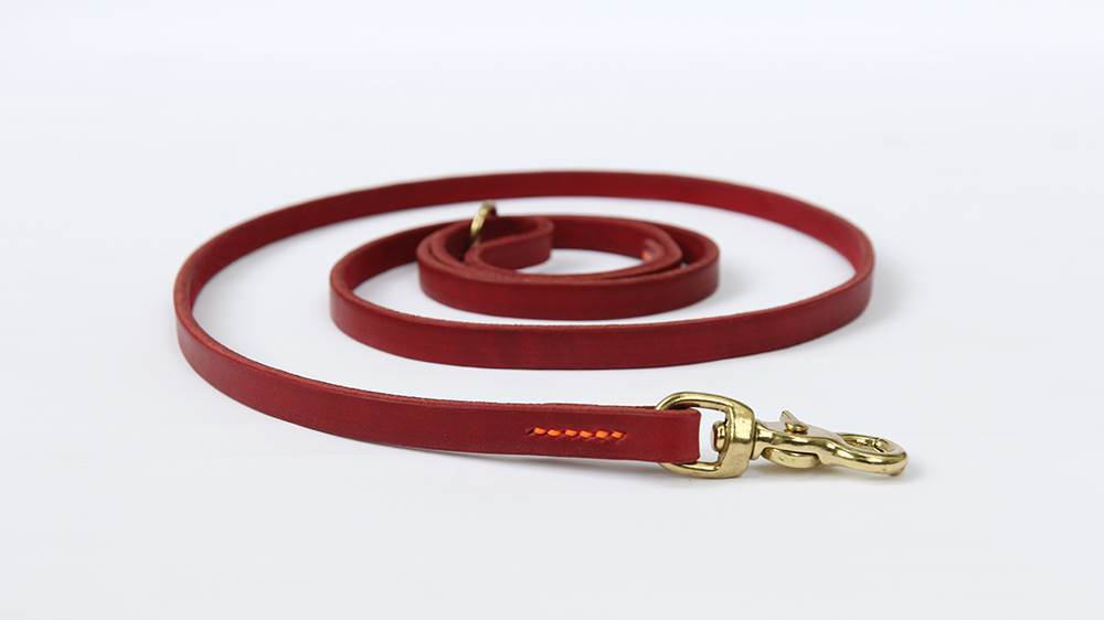 Discover the Teddy Gold Hair Elastic Band: The Perfect Accessory for Any Occasion