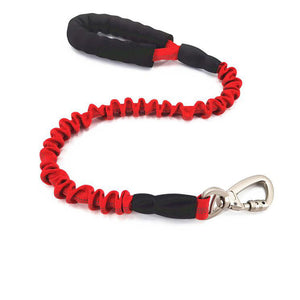 Unleash Adventure with the Elastic Retractable Dog Leash!
