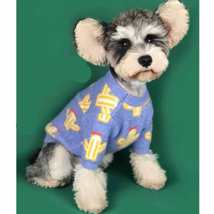 Why Your Pet Deserves the Pet Cactus Sweater