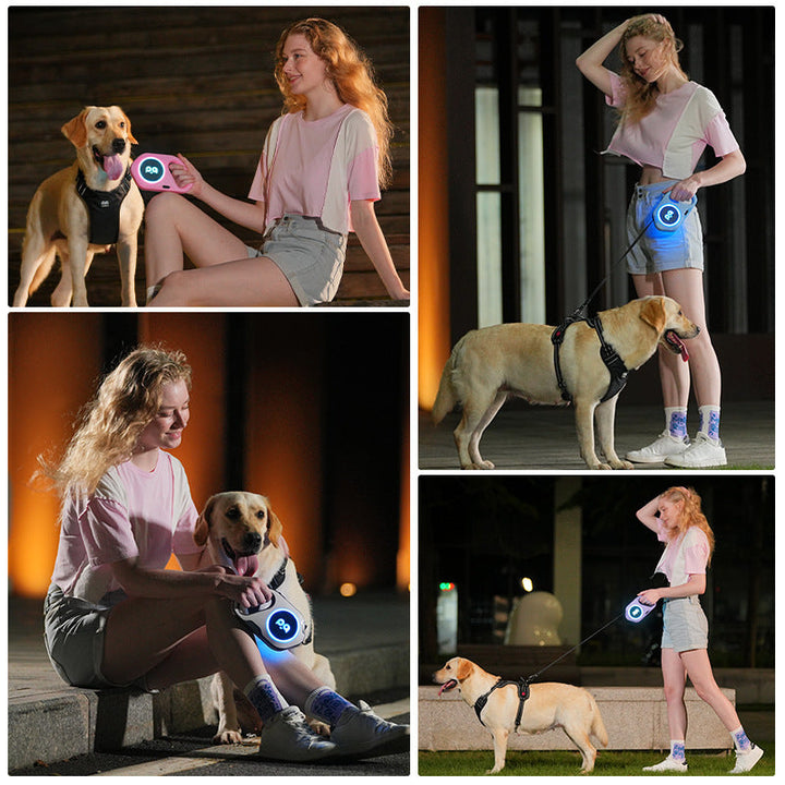 Light Up Your Dog Walks with the New LED Light Dog Leash