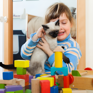 The Benefits of Rotating Your Pet’s Toys