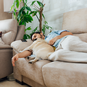 Creating the Perfect Pet Sleep Space at Home