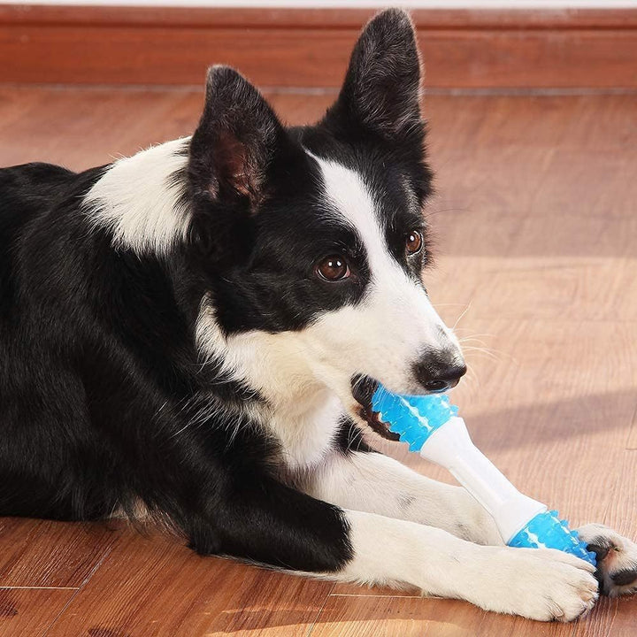 Why Your Puppy Needs Our Teething Chew Toys