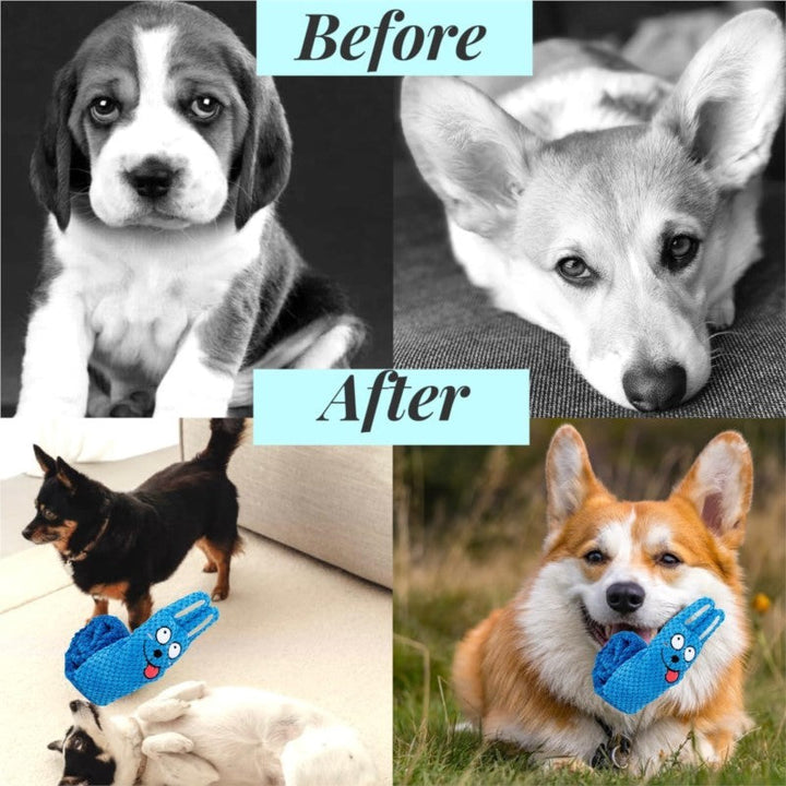 The Ultimate Squeaky Dog Puzzle Toy for Your Furry Friend