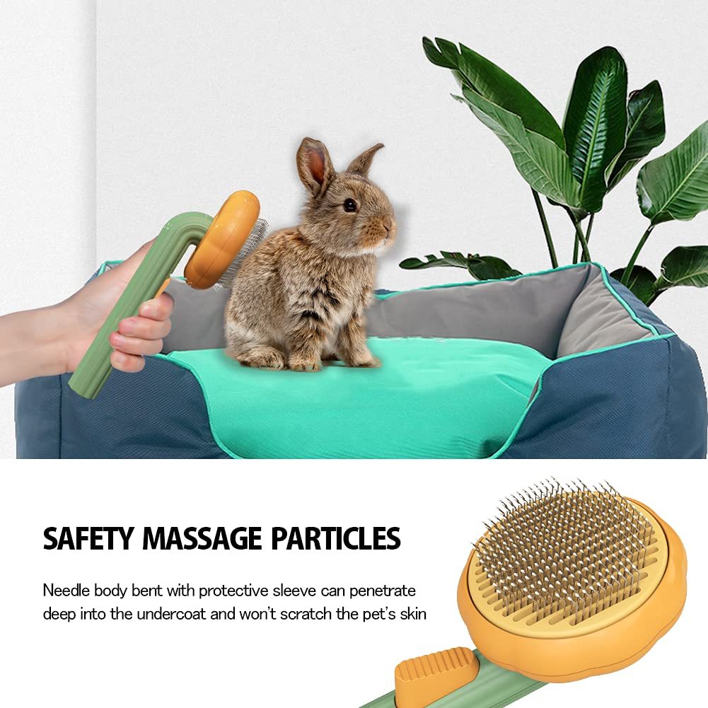 Pumpkin Comb Type Brush