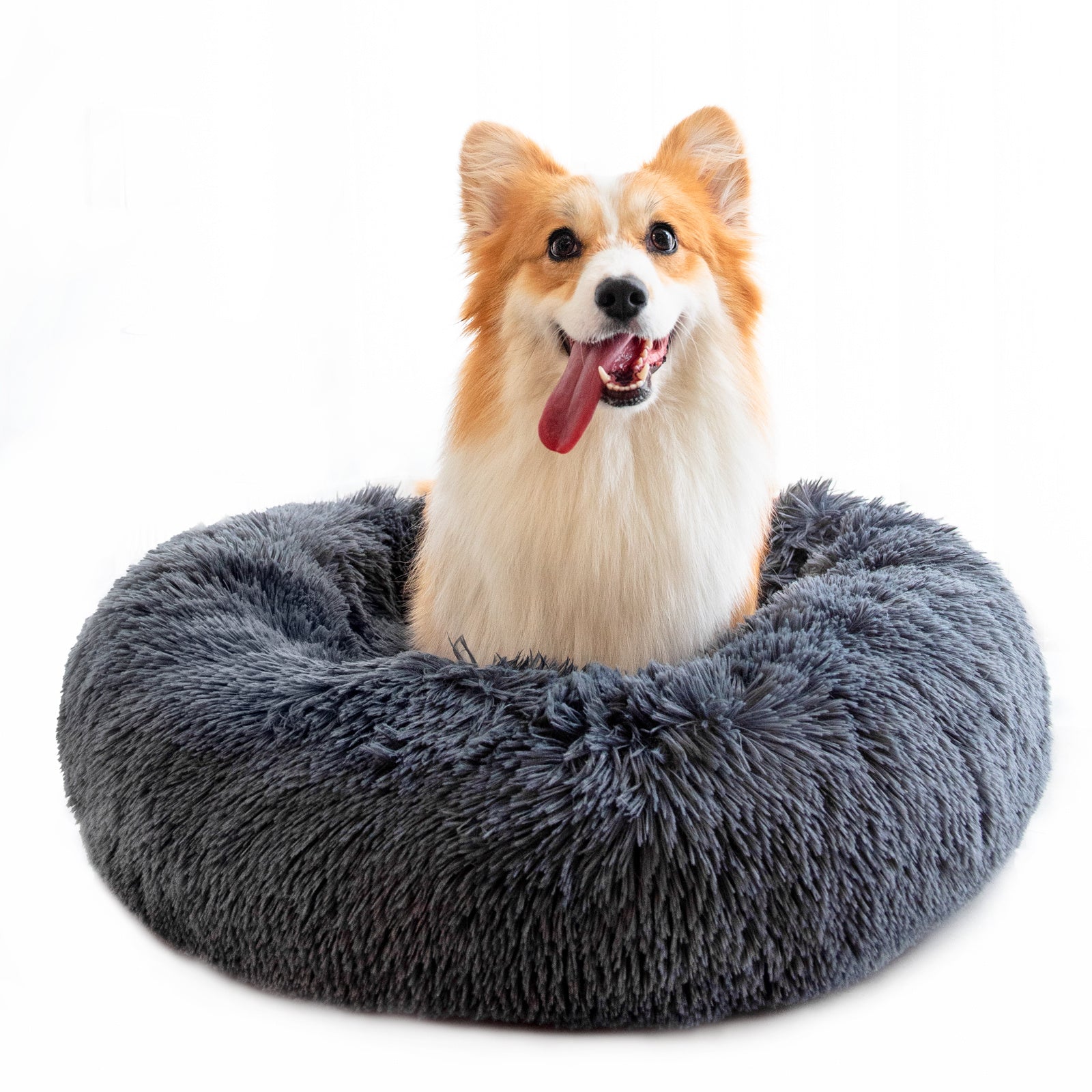 Dog Beds For Small Dogs