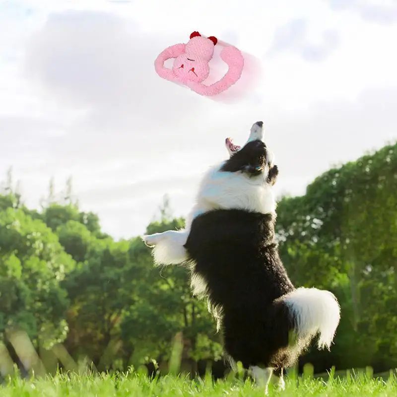 Squeaky Pet Plush Chew Toy