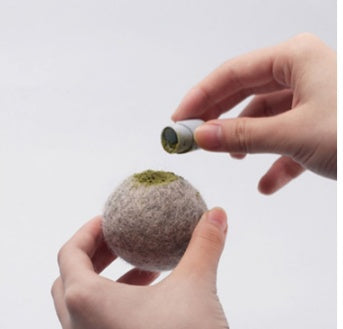 Addictive Catnip Toys Capsules