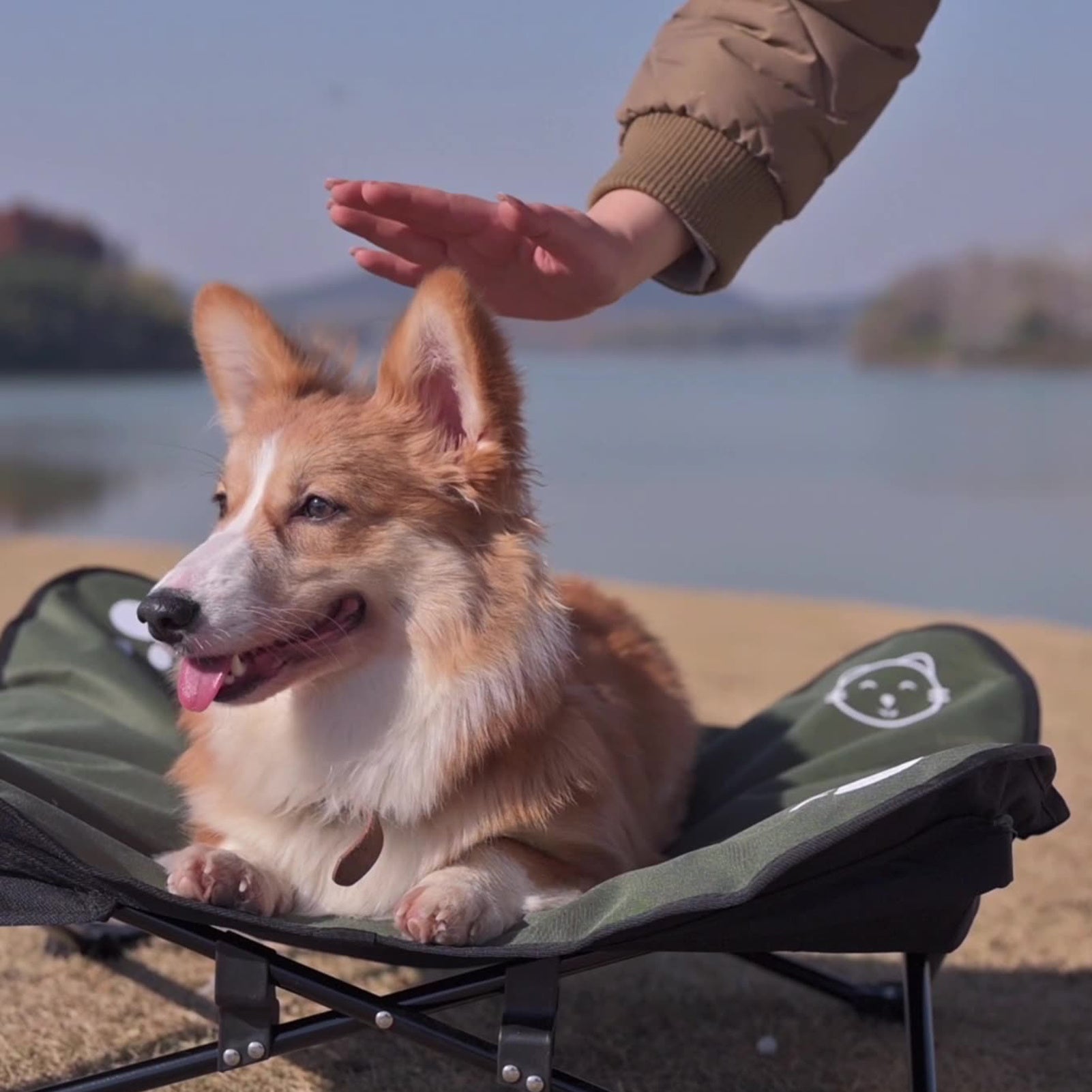 Outdoor detachable pet folding bed