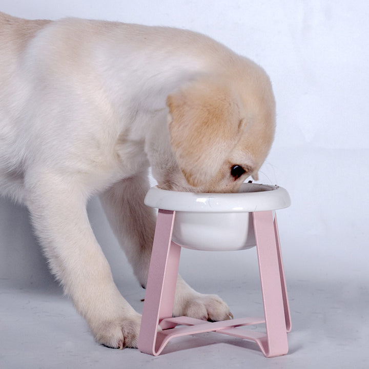 Antislip Cat Feeding Bowl