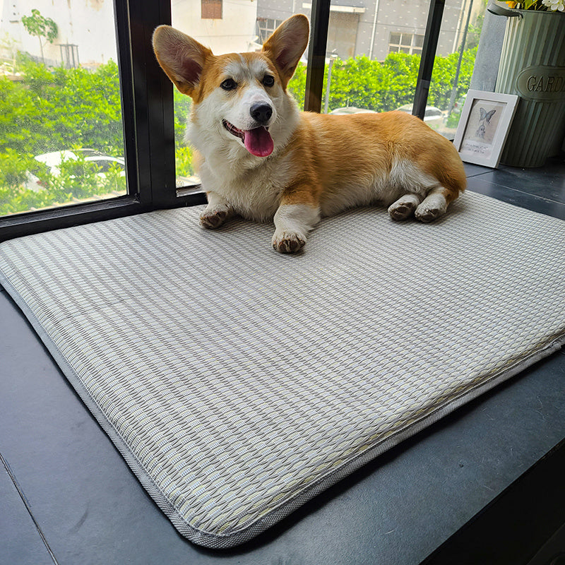 Dog Mat Sleeping Mat