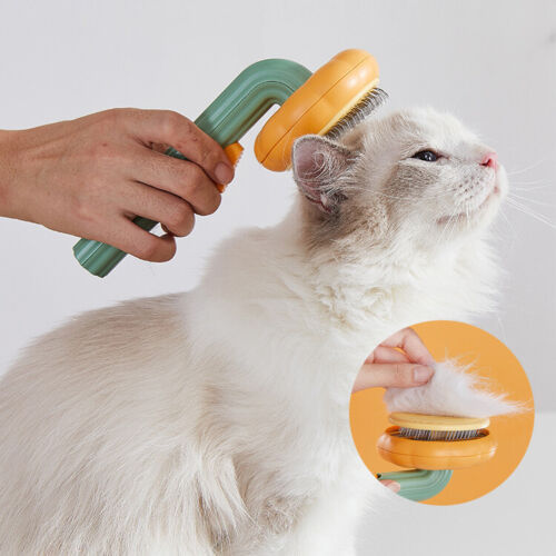 Pet Pumpkin Brush Slicker Brush