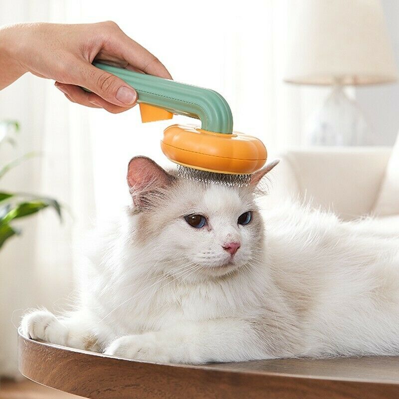 Pet Pumpkin Brush Slicker Brush