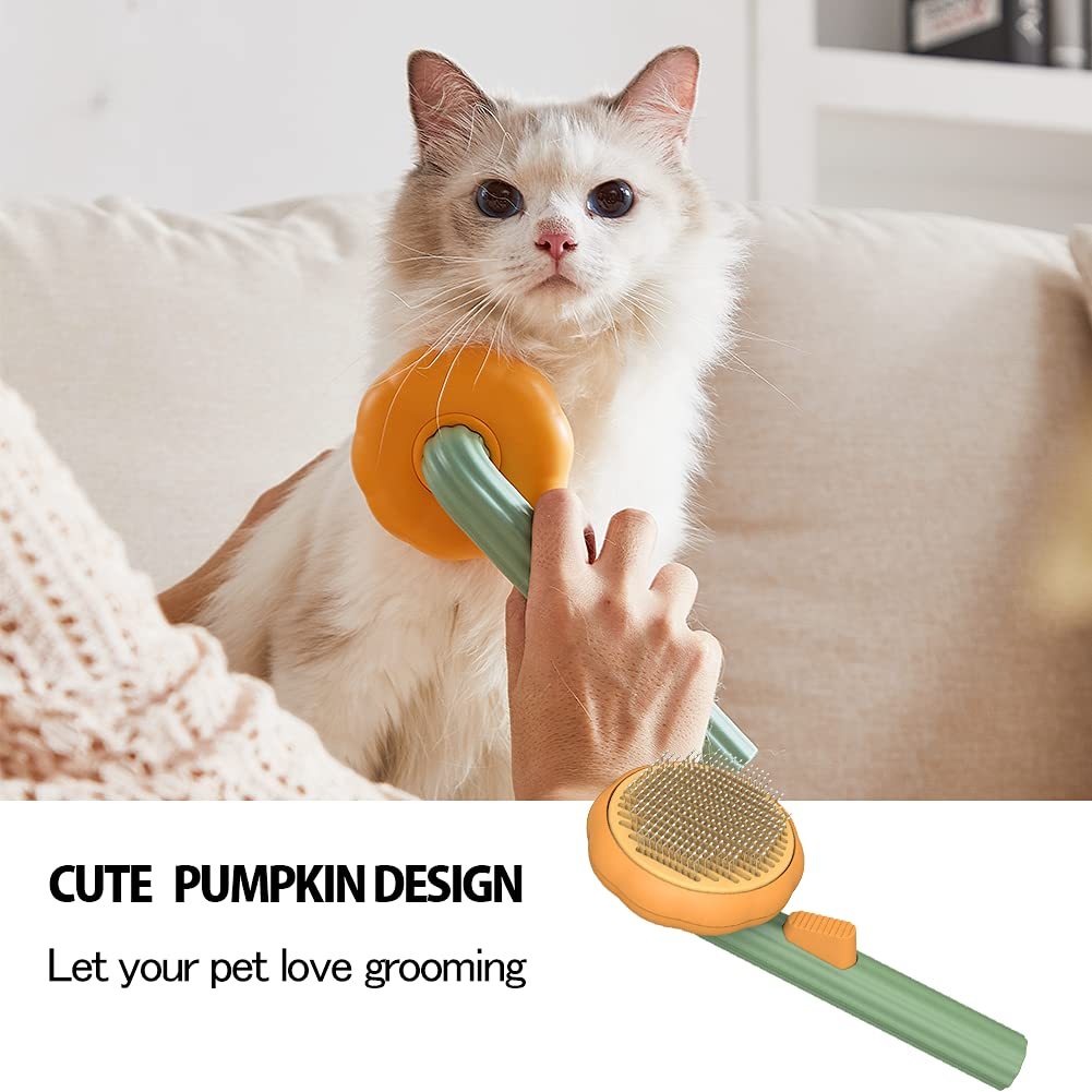 Pet Pumpkin Brush Slicker Brush
