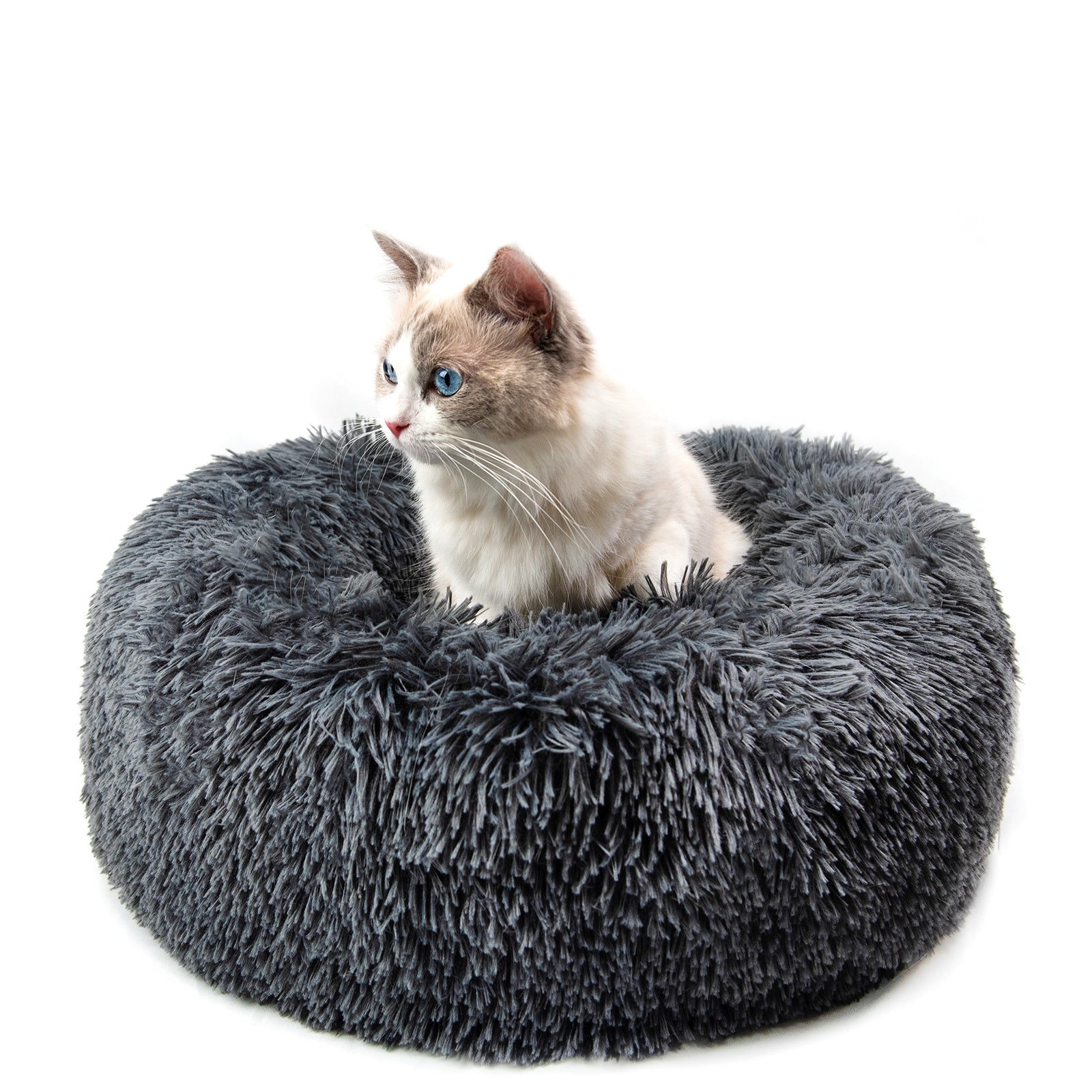 Dog Beds For Small Dogs