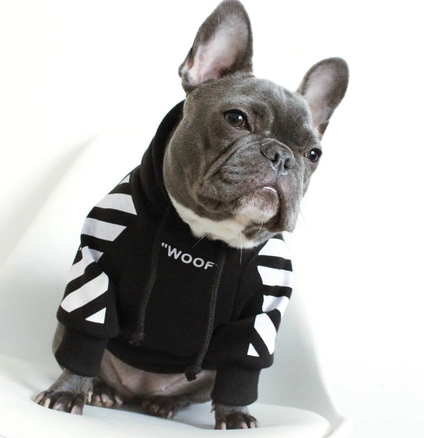 Winter sports dog clothes
