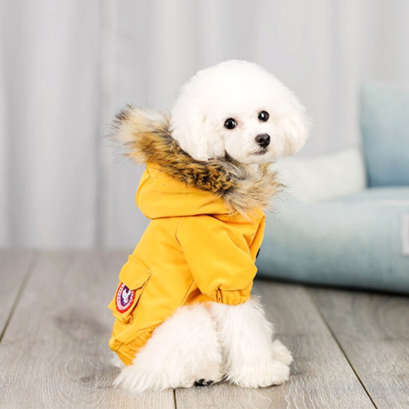 Pet dog clothes wool hat