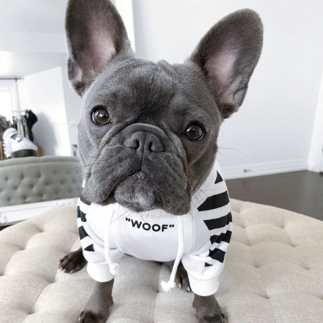 Winter sports dog clothes