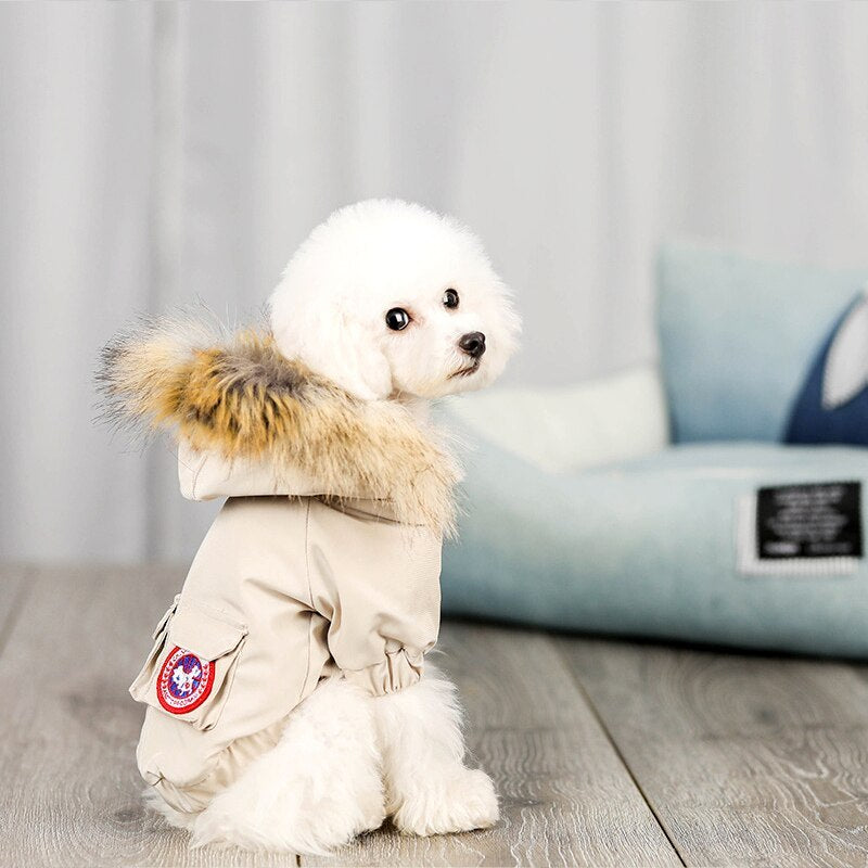 Pet dog clothes wool hat