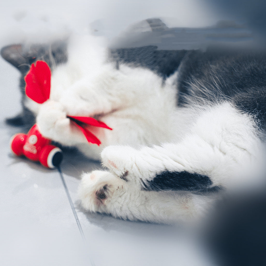 Cat Toys Are Fully Automatic