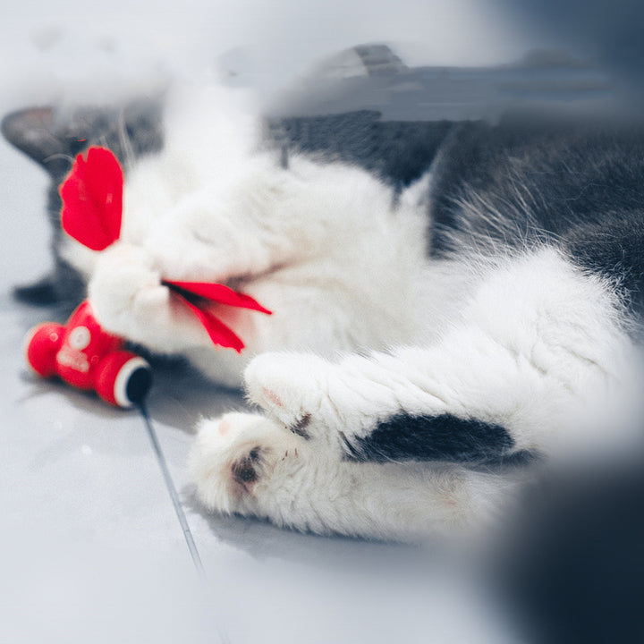 Cat Toys Are Fully Automatic