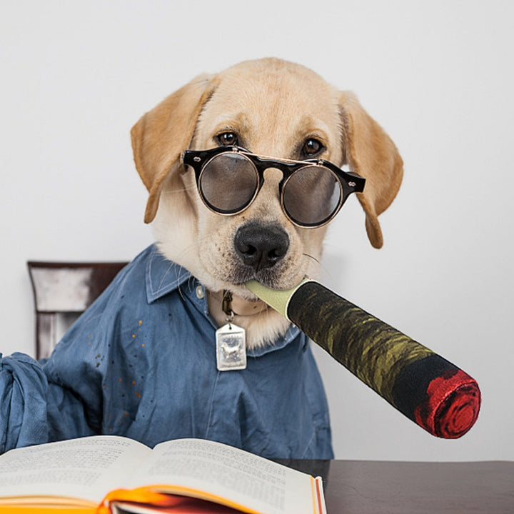 Dog Jokes Prank Toys Fake Cigarettes