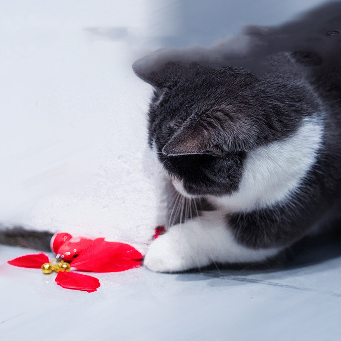 Cat Toys Are Fully Automatic