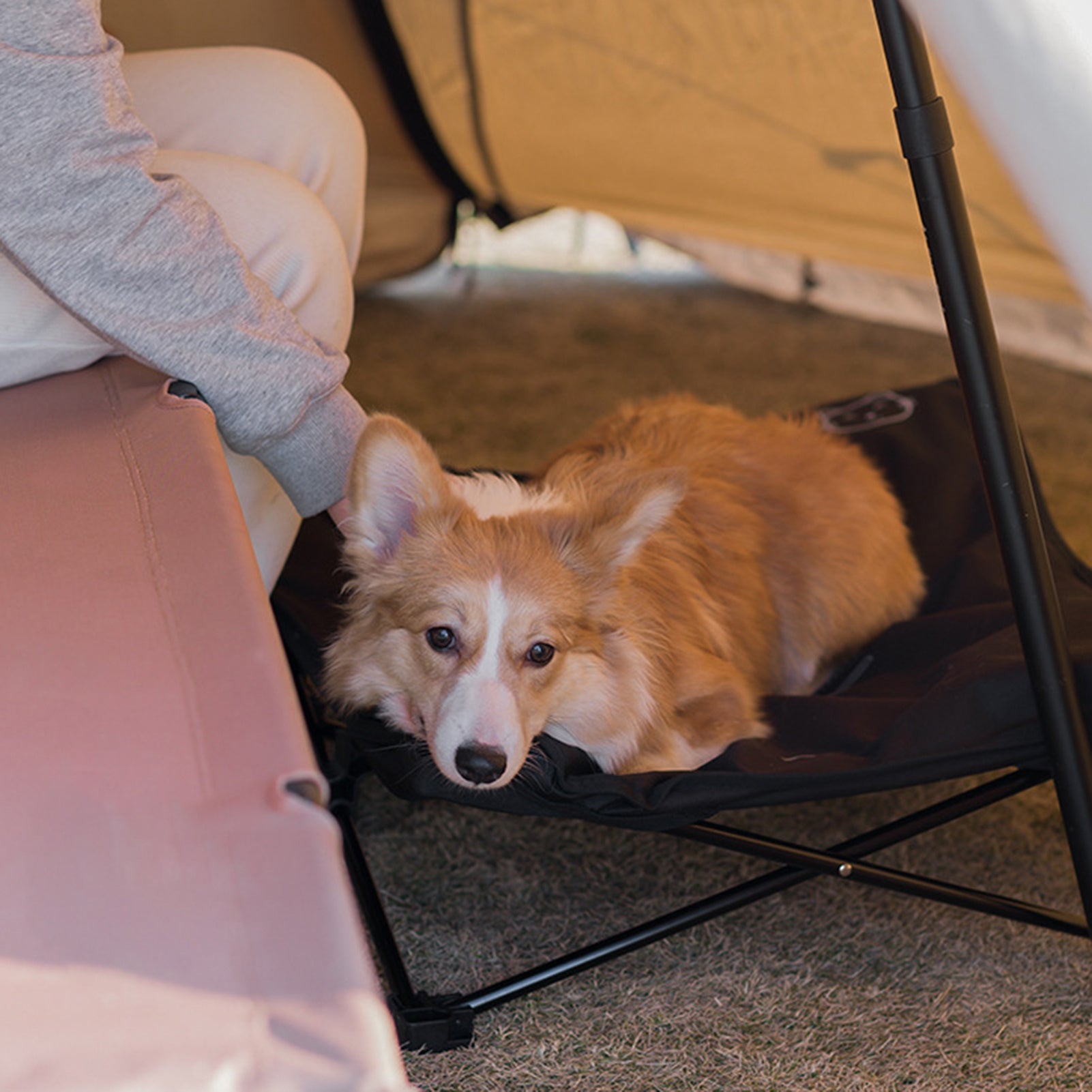 Outdoor detachable pet folding bed