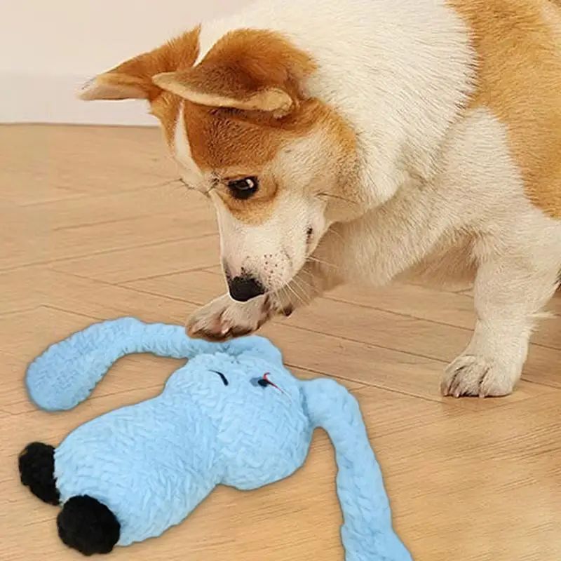 Squeaky Pet Plush Chew Toy