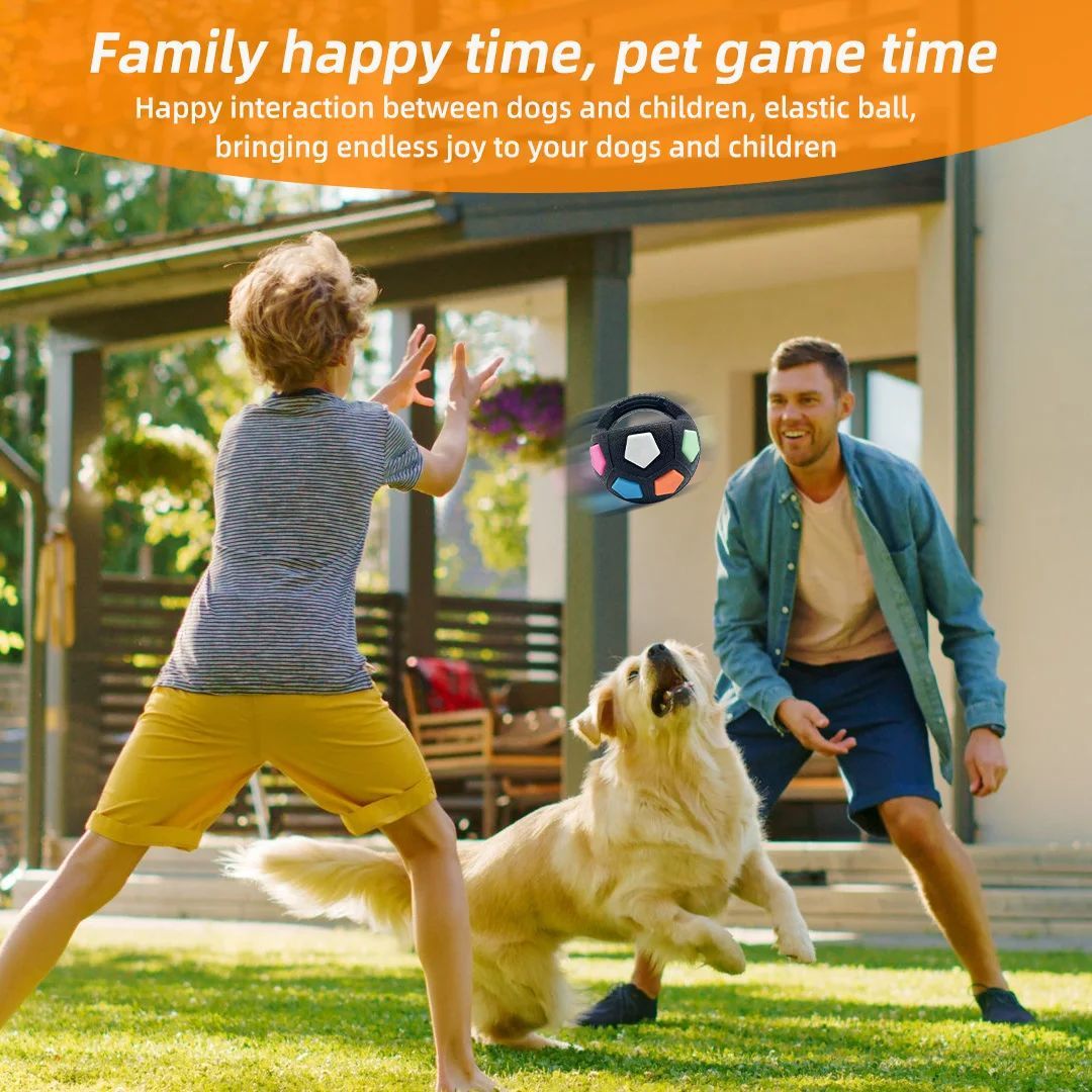 Tennis Ball Shaped Pet Dog Toys