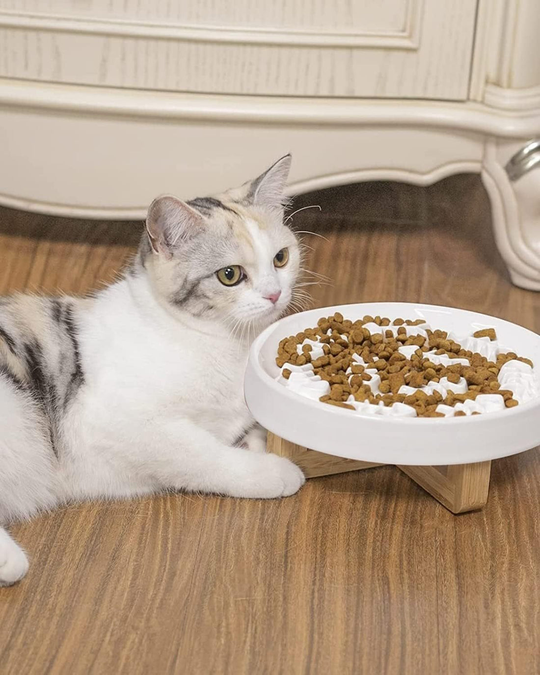 Ceramic Pet Feeder Slow Feed