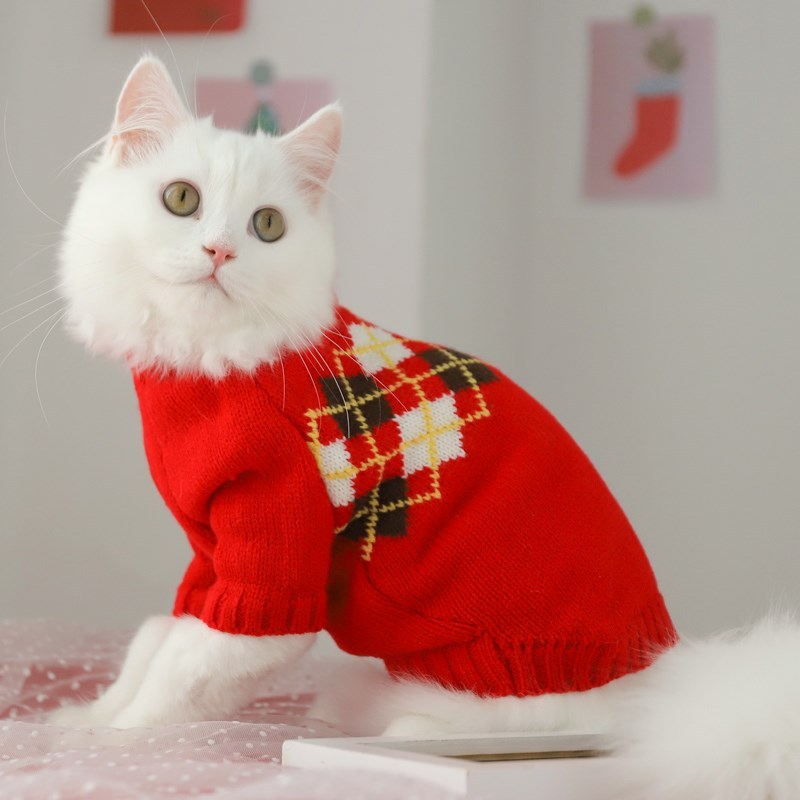 Fall Prevention Kitten Autumn Sweater