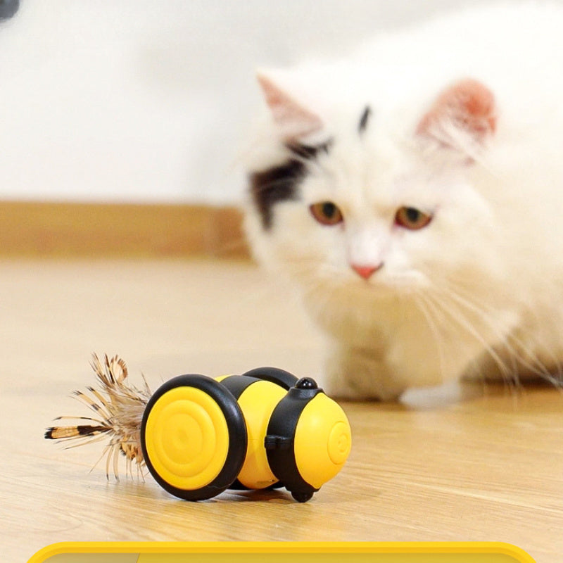 Electric Cat Car Toy