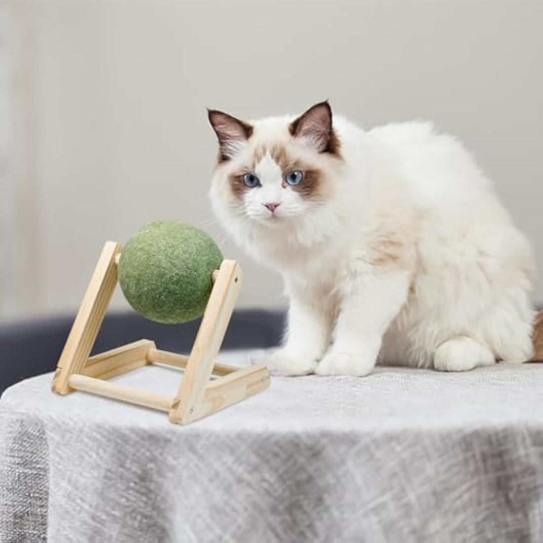 Catnip Balls Catnip Toys