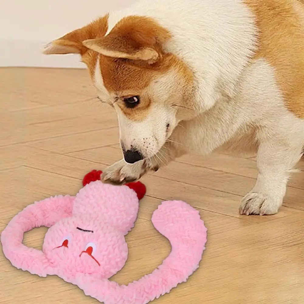 Squeaky Pet Plush Chew Toy