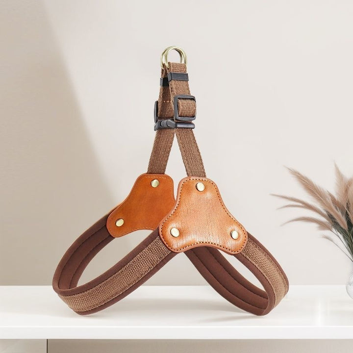 Dog Breast Collar Hand Holding Rope
