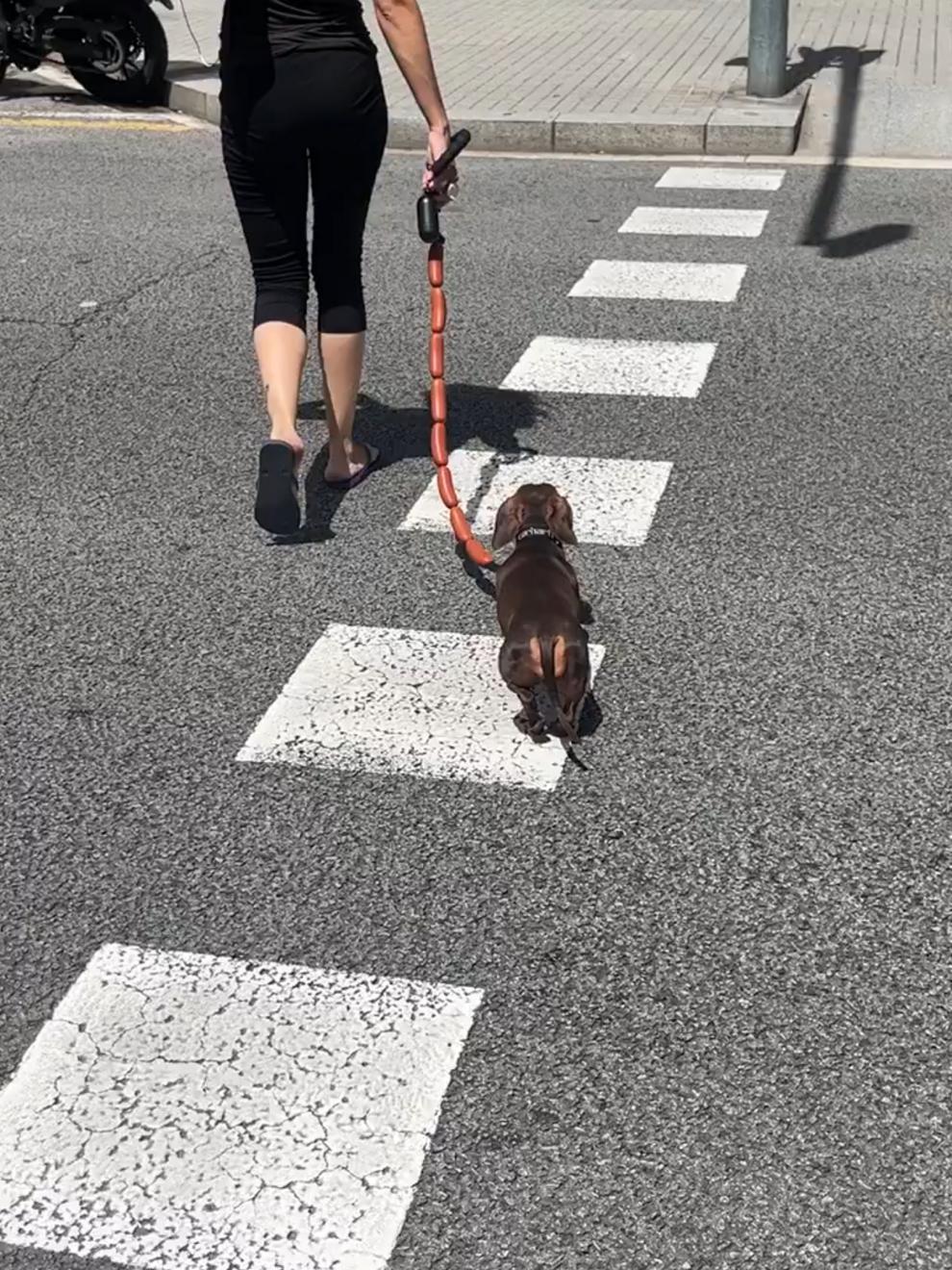 Dog Traction Chain Big Sausages