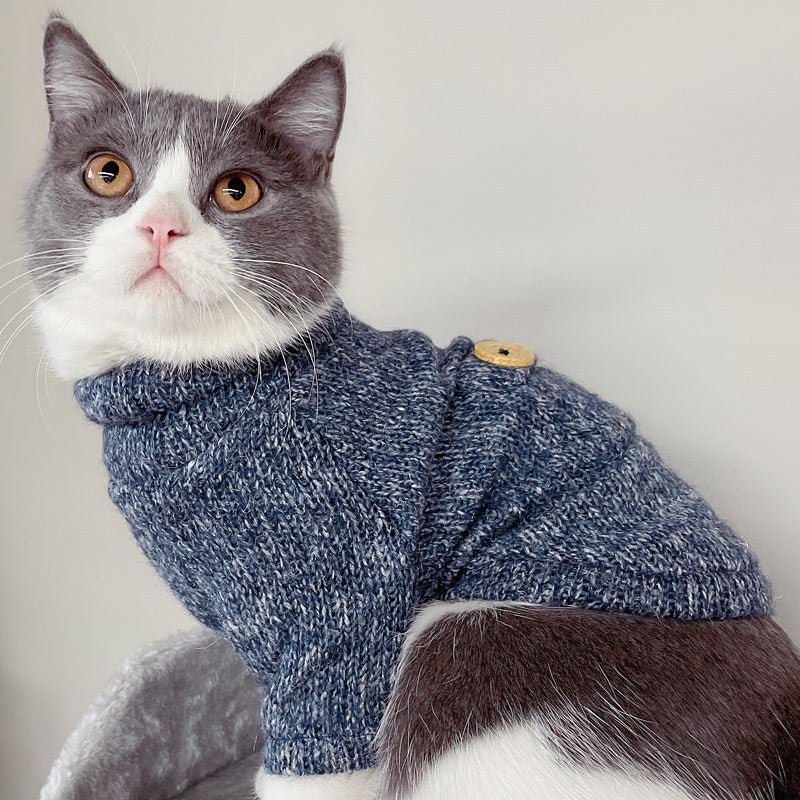 Fall Prevention Kitten Autumn Sweater